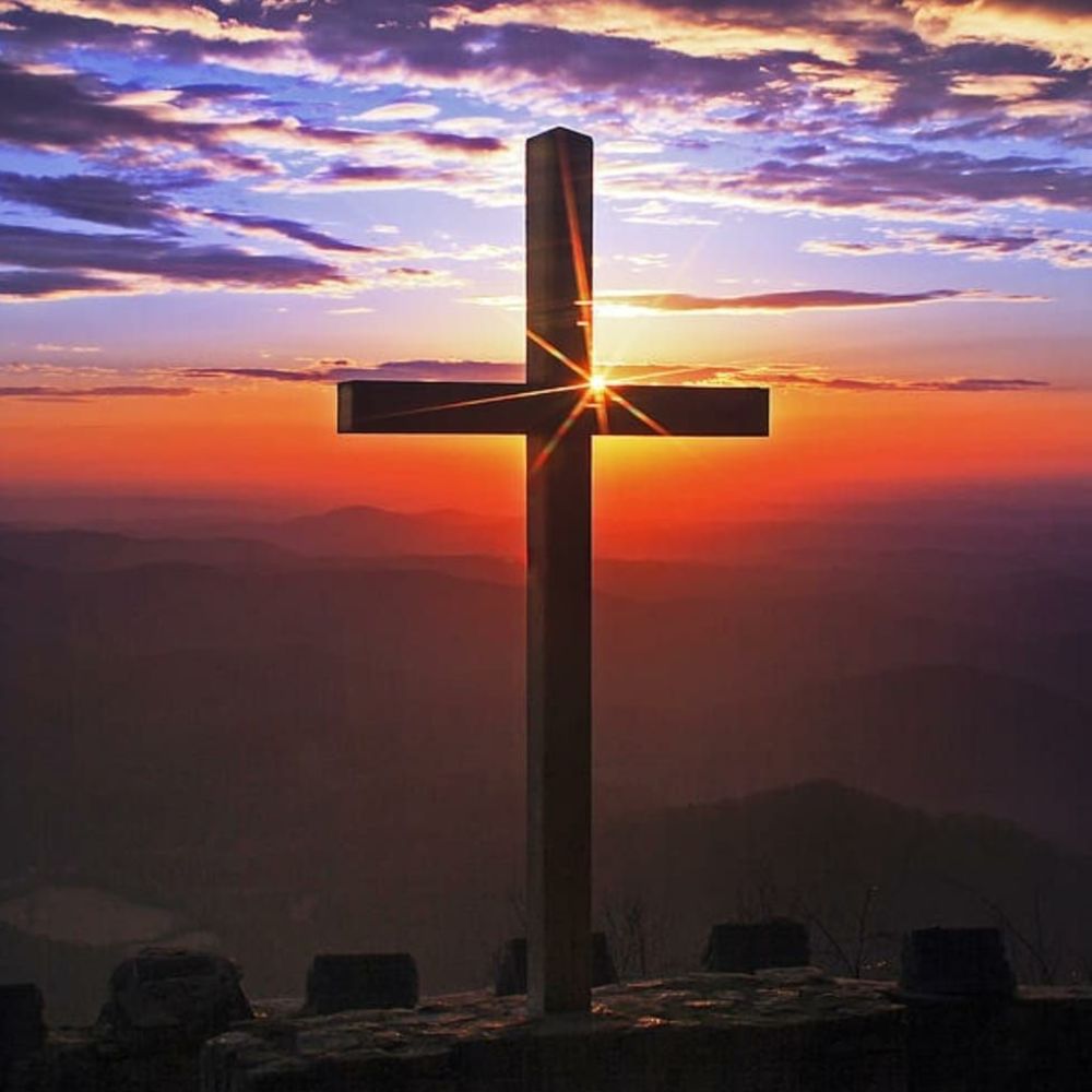 Meet your Posher, Oceonna